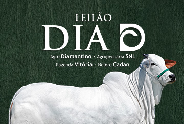 LEILÃO DIA D - AGRO DIAMANTINO